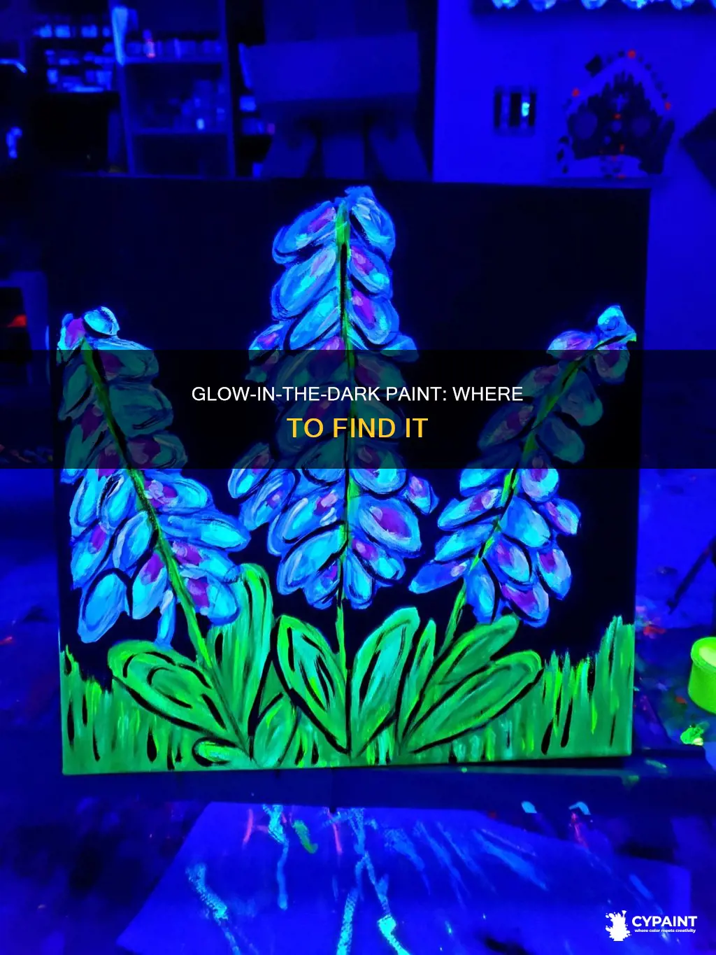 where can you find glow in the dark paint