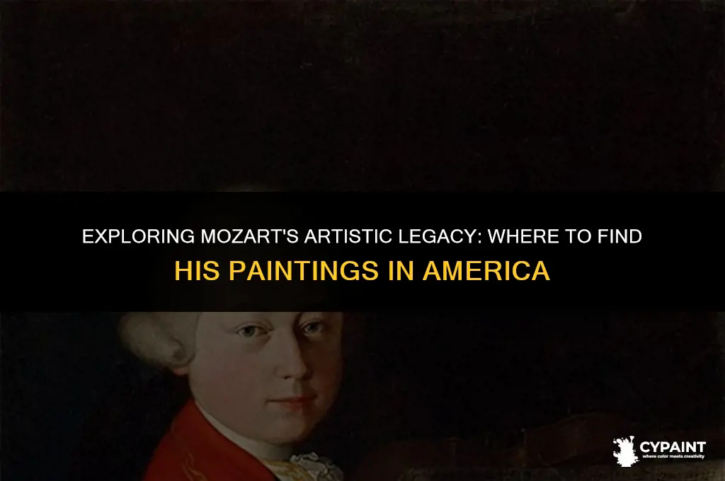where can you find mozart paintings in america