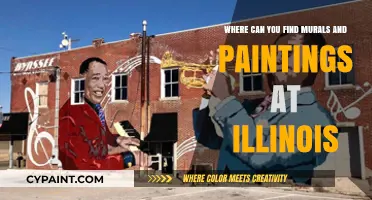Discover Illinois' Vibrant Murals and Paintings: Top Locations to Explore
