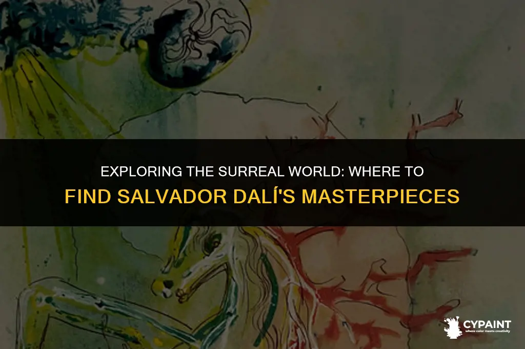 where can you find salvador dali