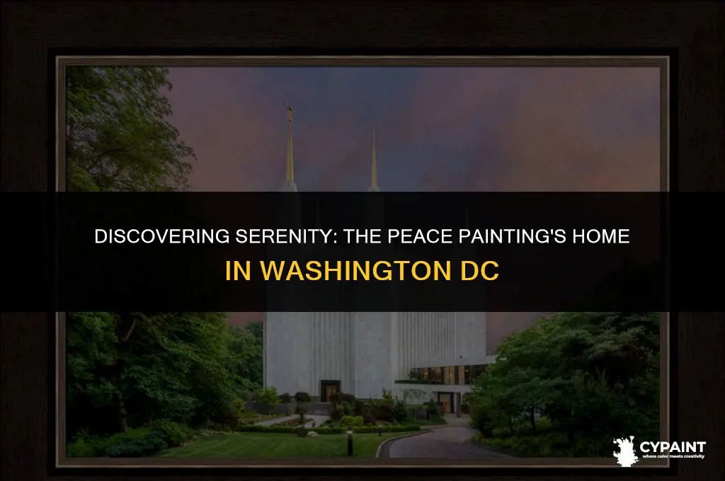 where can you find the peace painting in washington dc