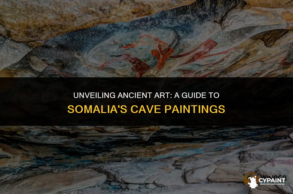 where can you find these cave paintings somalia