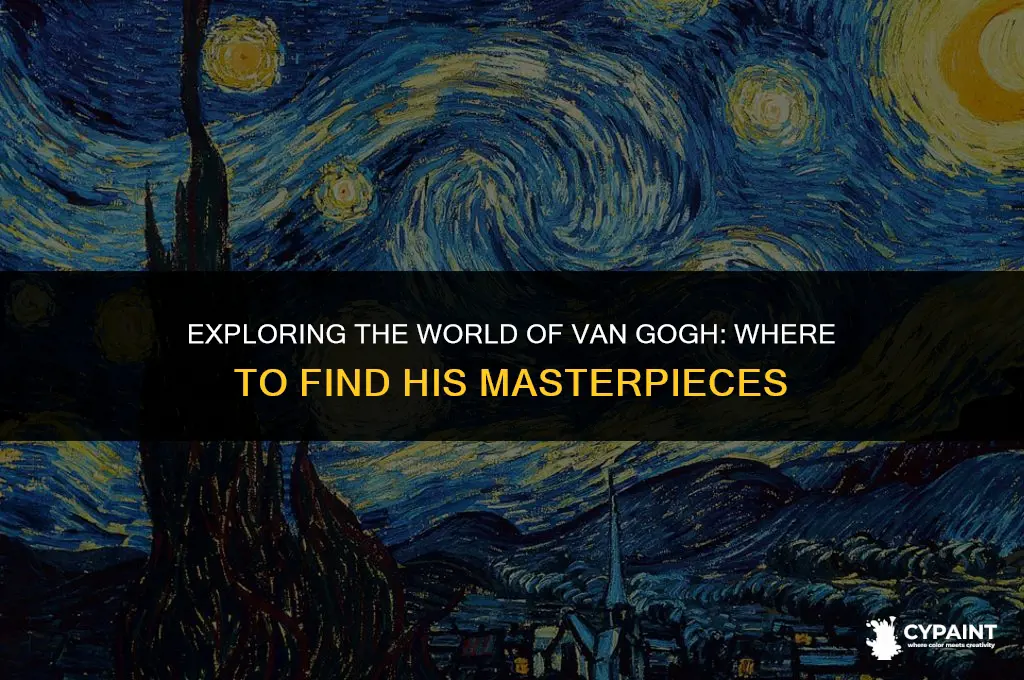 where can you find vincent van gogh paintings