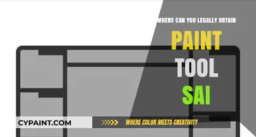 Exploring Legal Avenues for Acquiring Paint Tool SAI