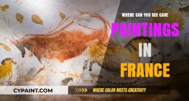 Exploring Ancient Art: A Guide to Cave Paintings in France