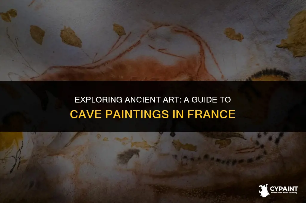 where can you see cave paintings in france