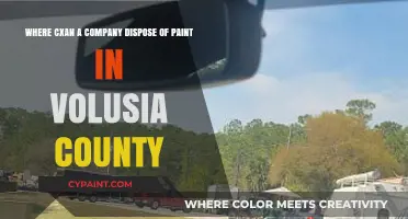 Eco-Friendly Paint Disposal Options in Volusia County for Businesses