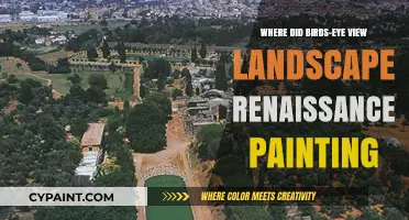 Origins of Birds-Eye View in Renaissance Landscape Masterpieces