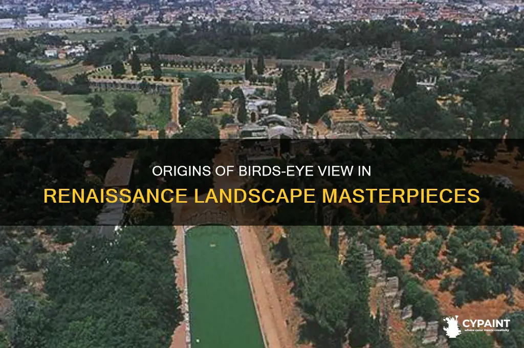 where did birds-eye view landscape renaissance painting