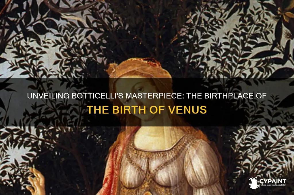 where did botticelli paint the birth of venus