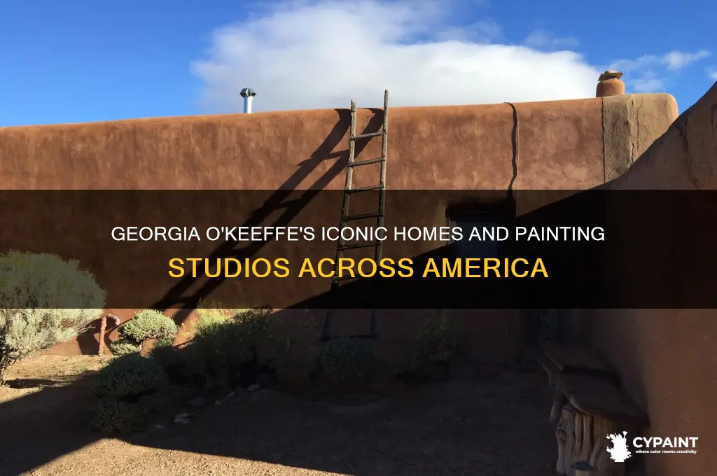 where did georgia o keeffe once live and paint