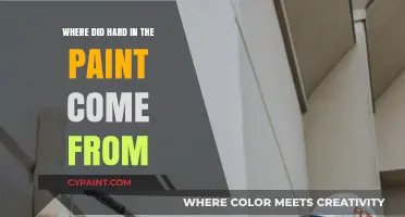 Uncovering the Origins of 'Hard in the Paint': A Cultural Journey