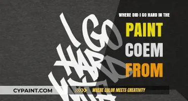 Exploring the Origins of 'Go Hard in the Paint': A Linguistic Journey