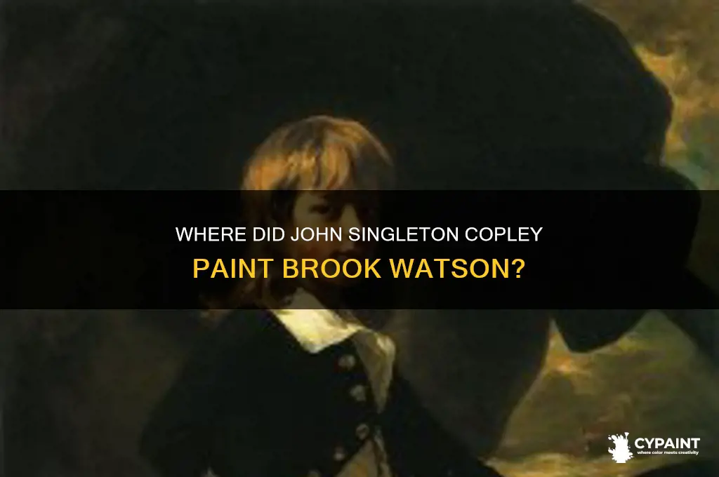 where did john singleton copley paint brook watson
