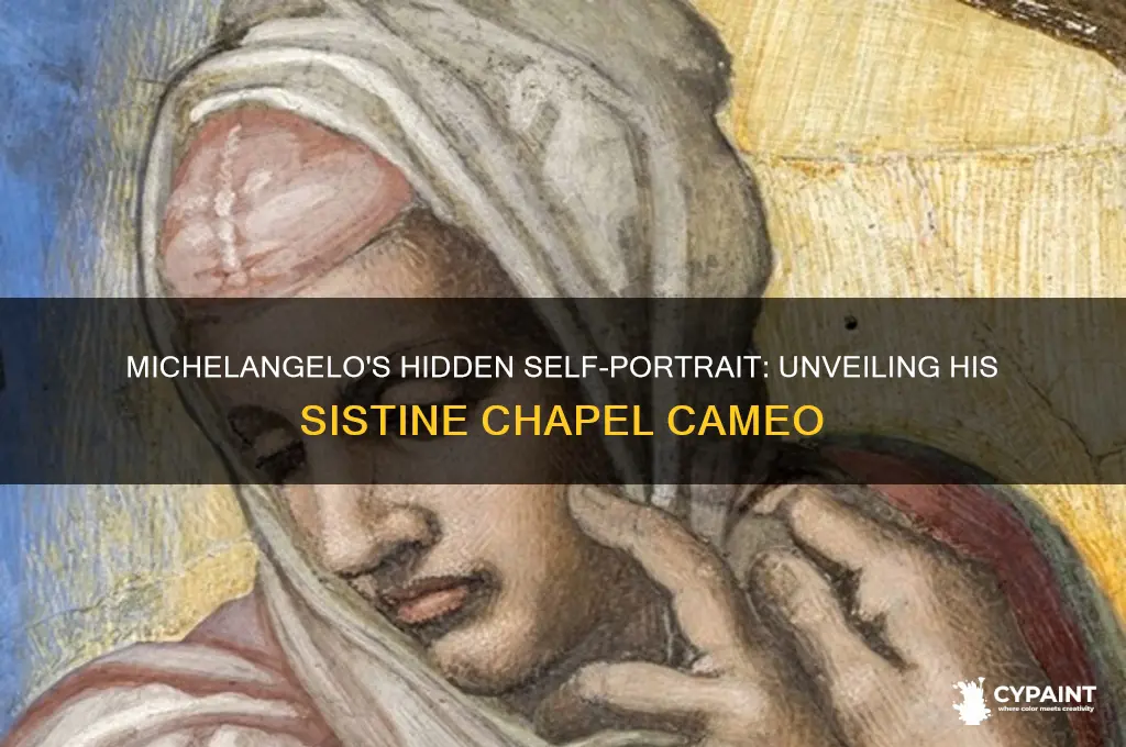 where did michelangelo paint himself in the sistine chapel