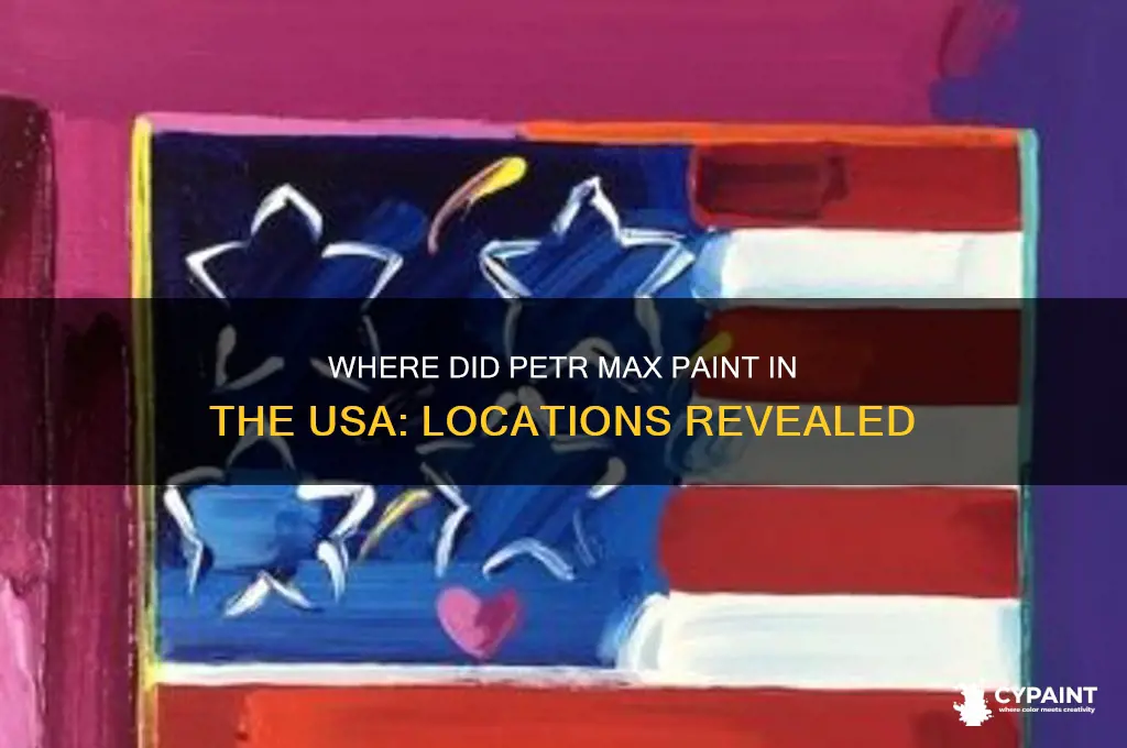 where did petr max paints in the usa