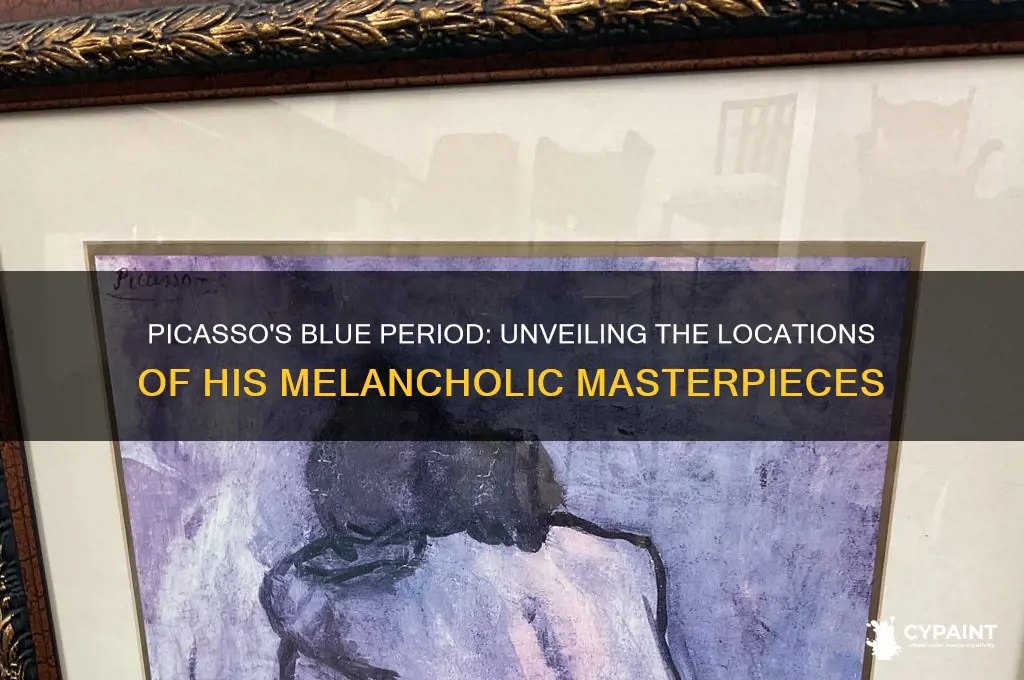 where did picasso paint in the blue period