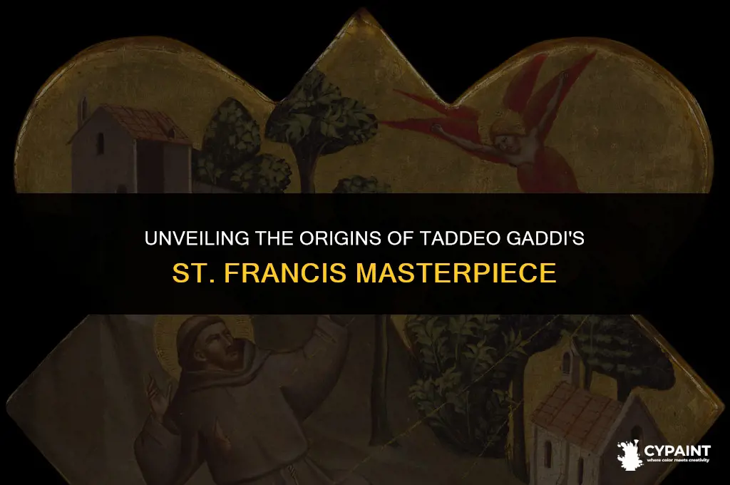 where did tadeo gaddi