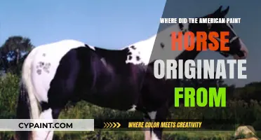 The Fascinating Origins of the American Paint Horse Breed