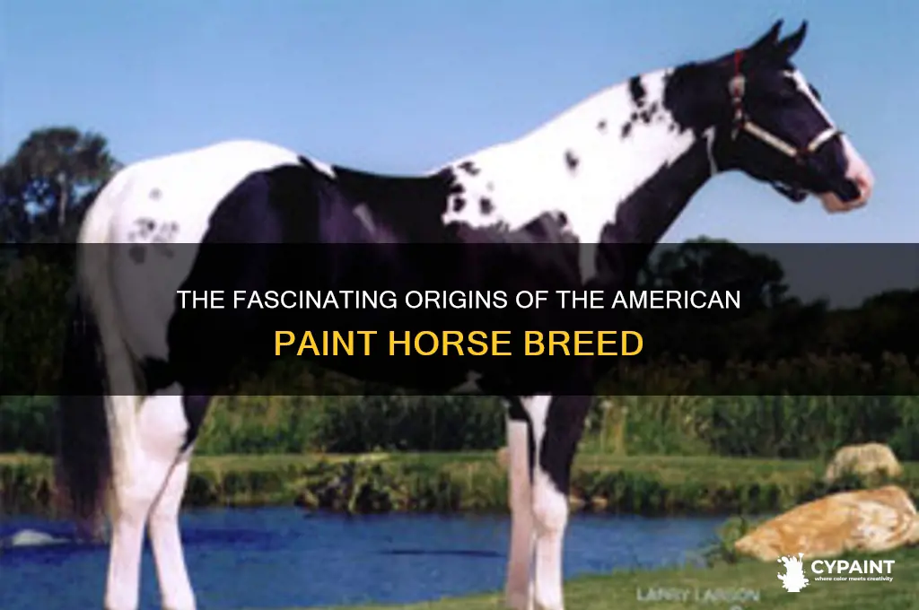 where did the american paint horse originate from