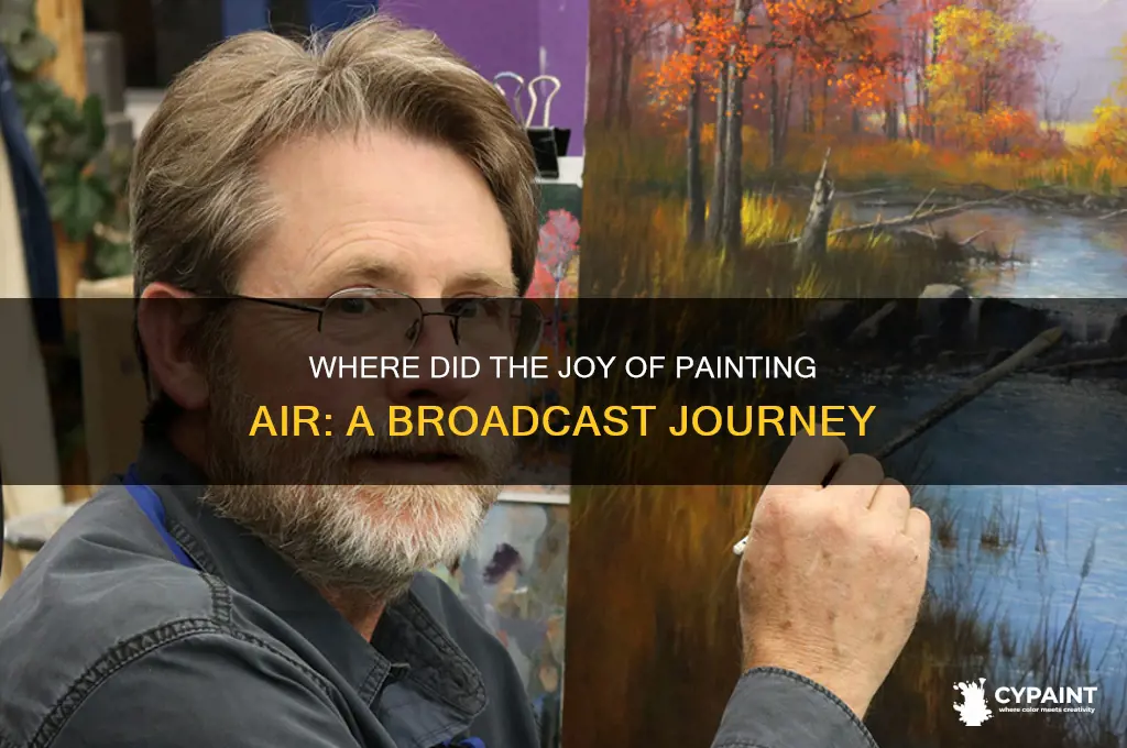 where did the joy of painting run on