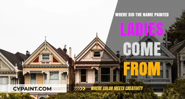 The Origin of 'Painted Ladies': Uncovering the Victorian Homes' Nickname