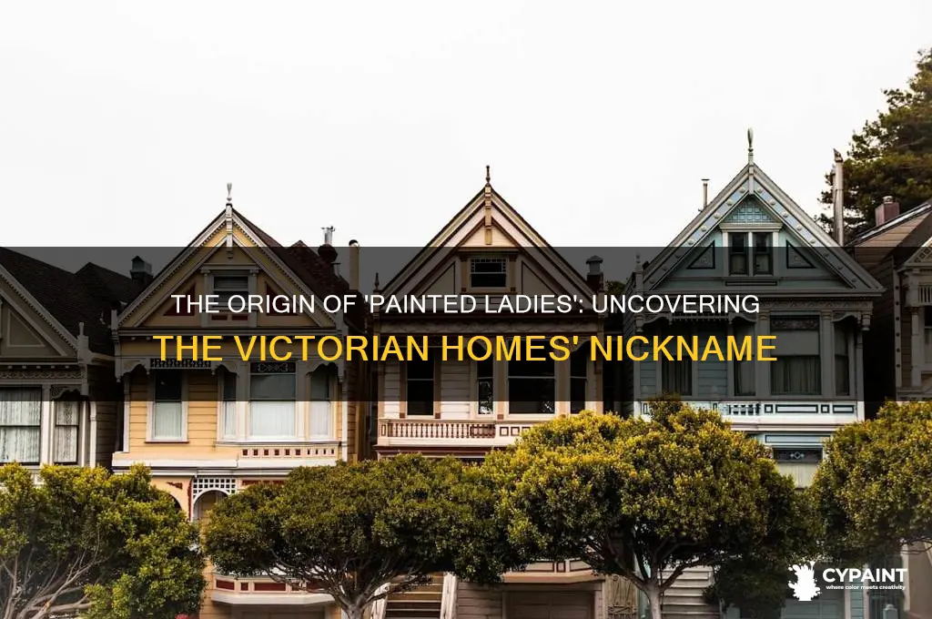 where did the name painted ladies come from