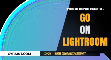 Lightroom's Missing Paint Bucket Tool: Where It Went and Alternatives