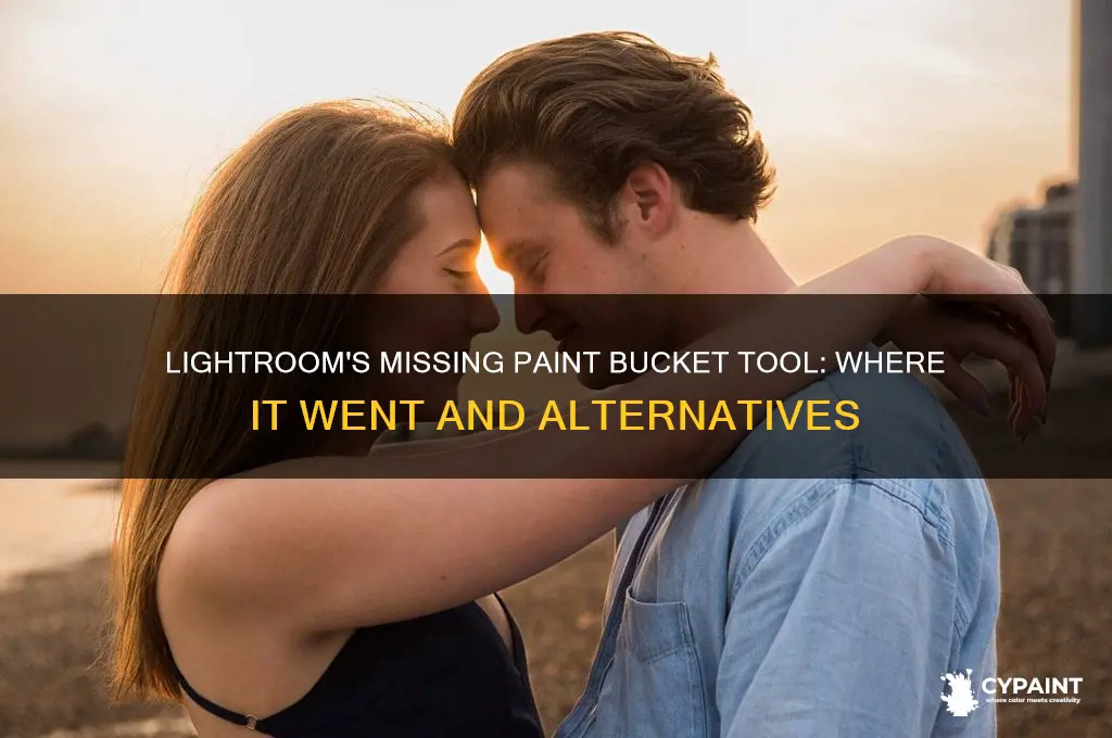 where did the paint bucket tool go on lightroom