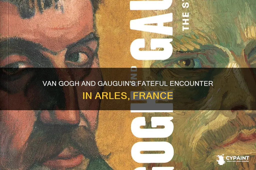 where did the painter van gogh meet gauguin