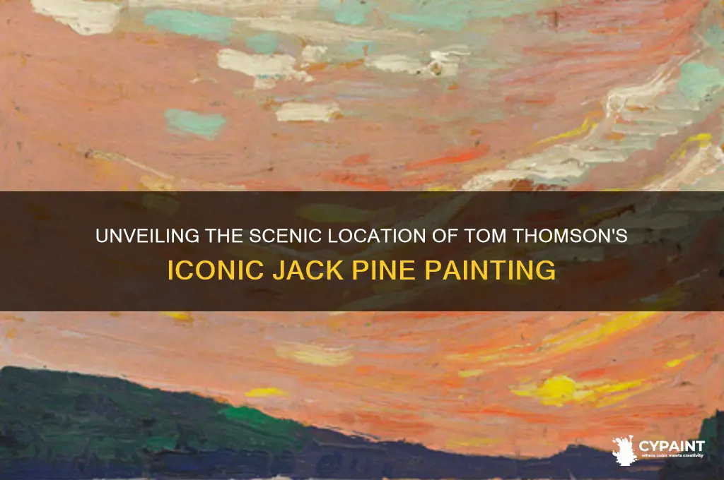 where did tom thomson paint the jack pine