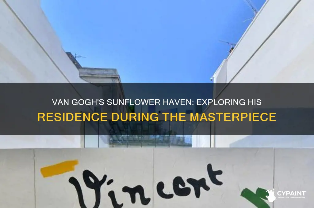 where did van gogh lived when he painted sunflowers