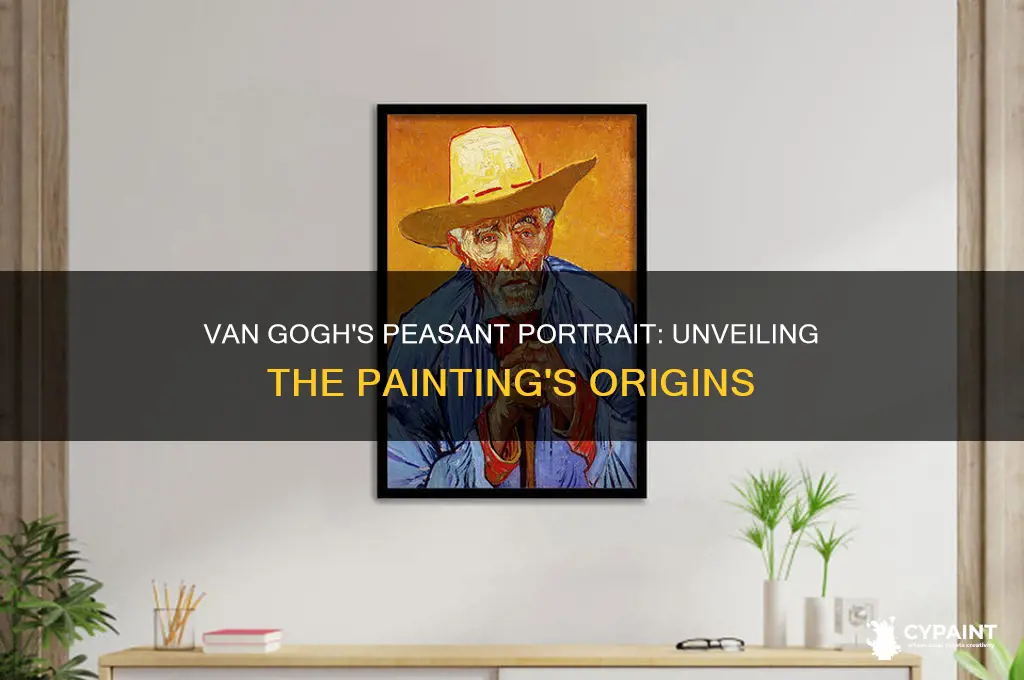 where did van gogh paint portrait of a peasant