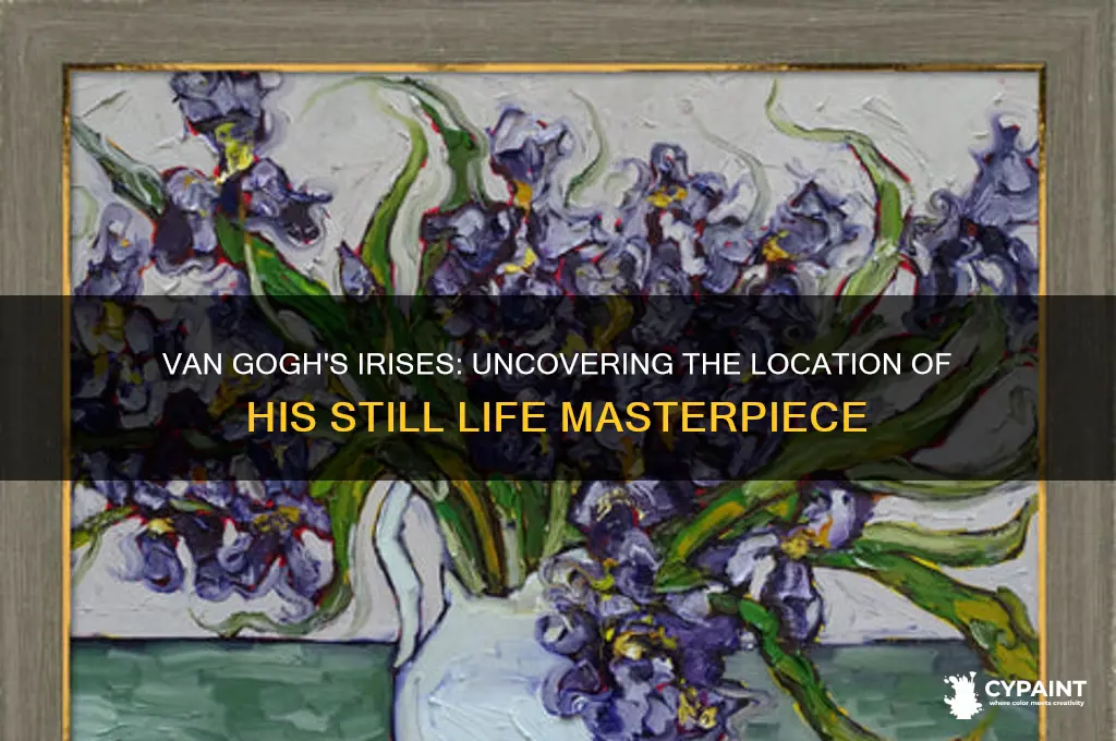 where did van gogh paint still life with irises