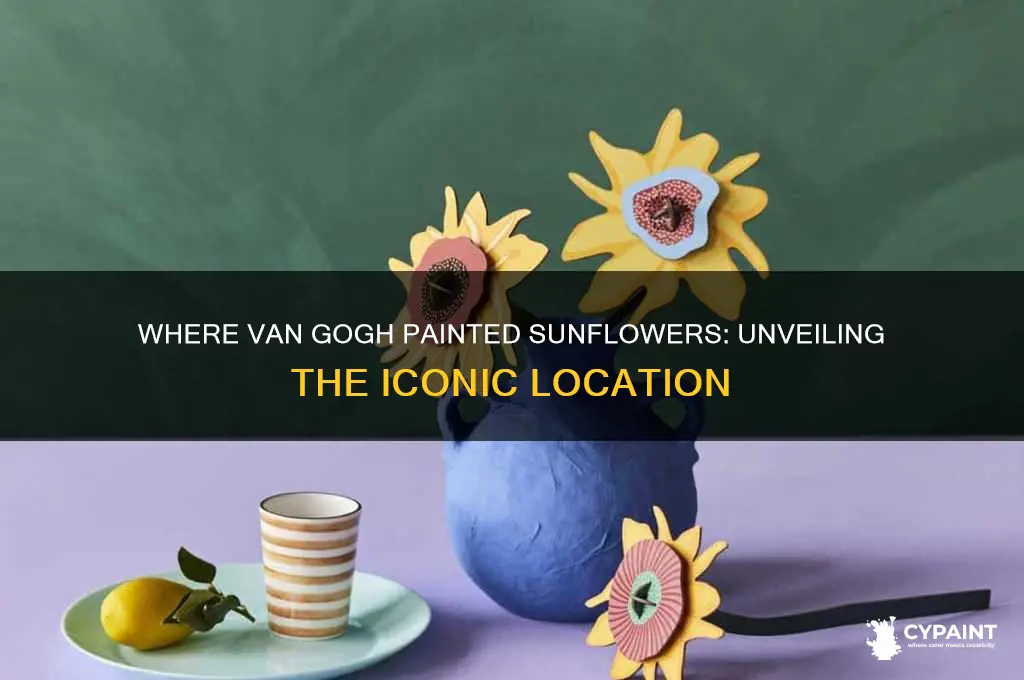 where did vincent van gogh paint the sunflowers location