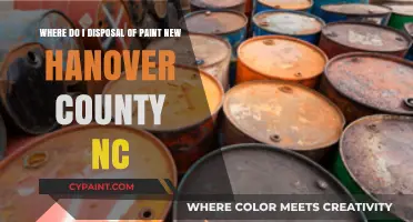 Eco-Friendly Paint Disposal in New Hanover County, NC