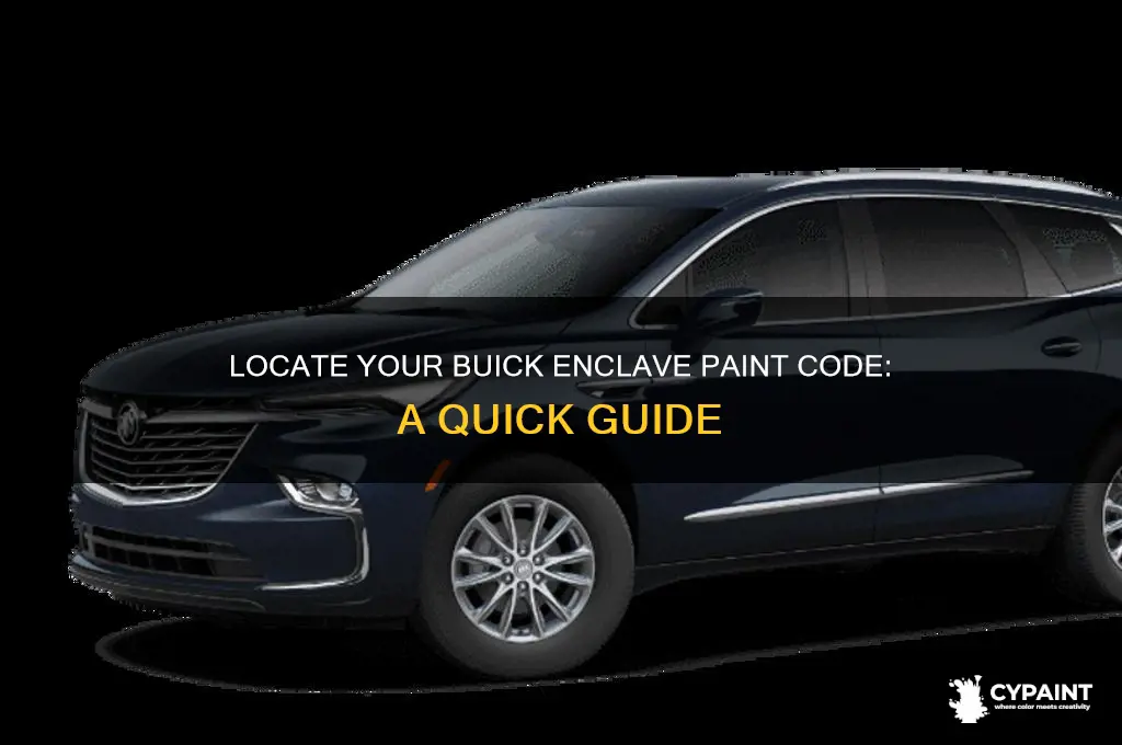 where do i find buick enclave paint code