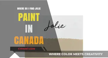 Discovering Jolie Paint: Your Guide to Canadian Suppliers