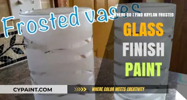 Discover Krylon Frosted Glass Finish Paint: Top Retailers & Online Sources