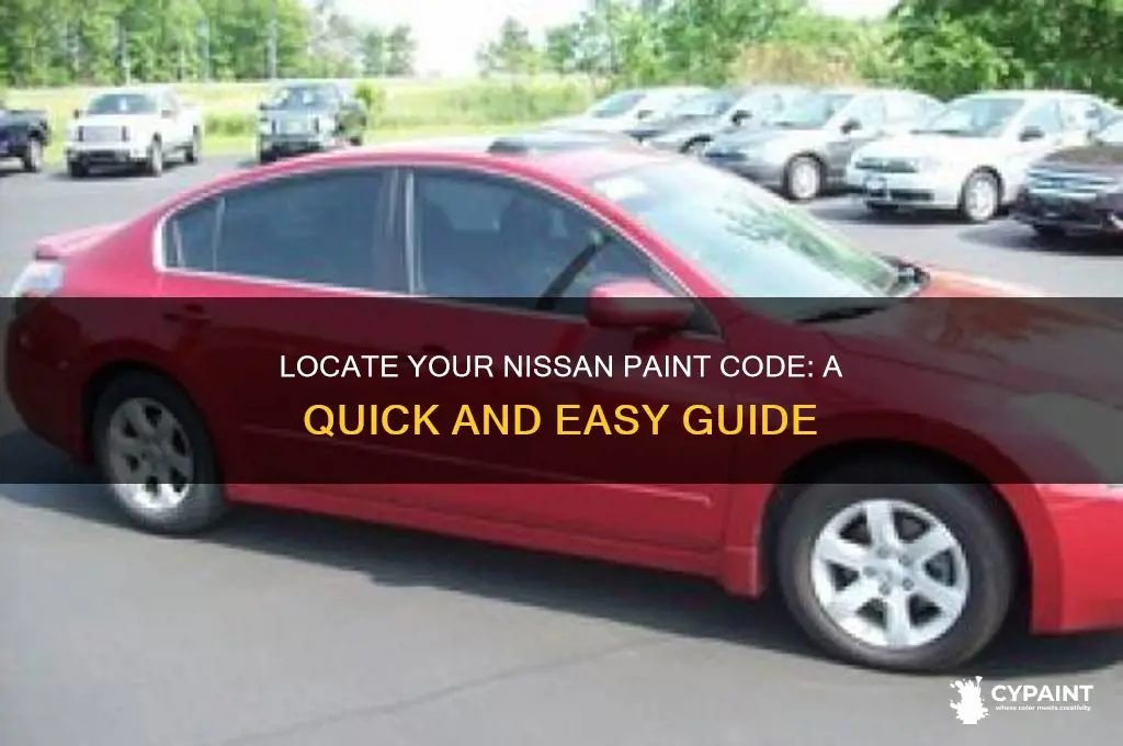 where do i find my nissan paint code