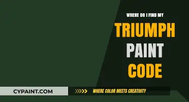 Locate Your Triumph Paint Code: A Quick and Easy Guide