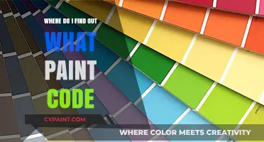 Discover Your Vehicle's Paint Code: A Quick and Easy Guide
