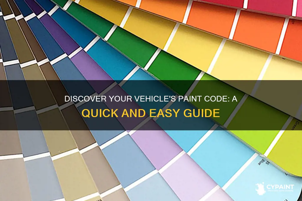 where do i find out what paint code