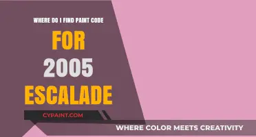 Locate Your 2005 Escalade Paint Code: Quick Guide & Tips