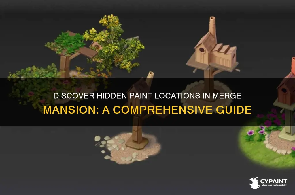 where do i find paint in merge mansion