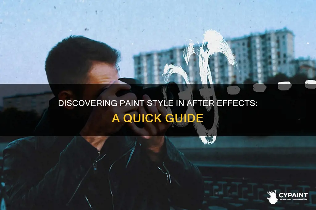 where do i find paint style in after effects