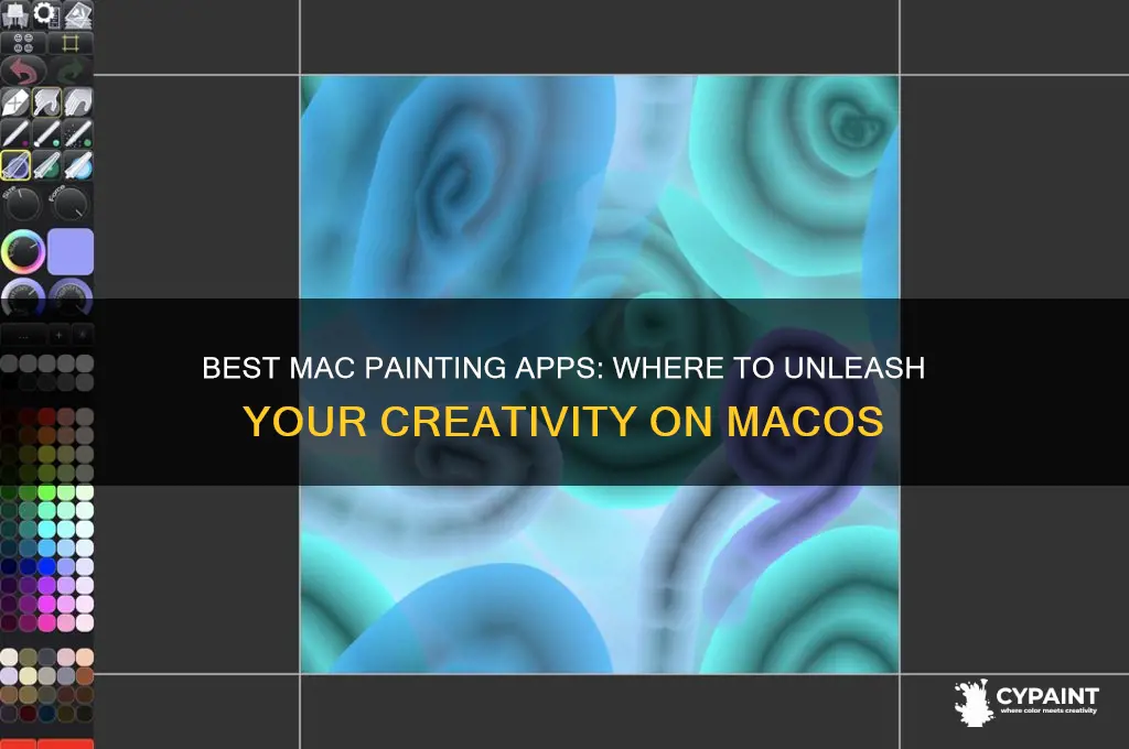 where do i go to paint on mac