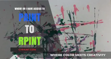 Where to Access Paint for Printing: A Comprehensive Guide