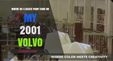Decoding Your 2001 Volvo's Paint Code: A Step-by-Step Guide