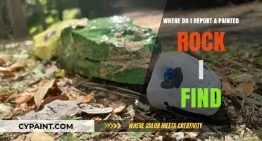 Found a Painted Rock? Here’s Where to Report Your Discovery